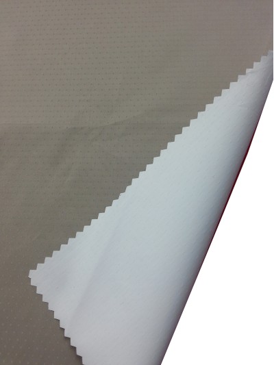 JS ZOYG  消光尼絲紡滿天星 後面照